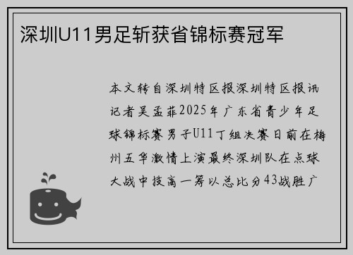 深圳U11男足斩获省锦标赛冠军