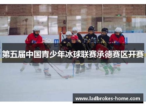 第五届中国青少年冰球联赛承德赛区开赛